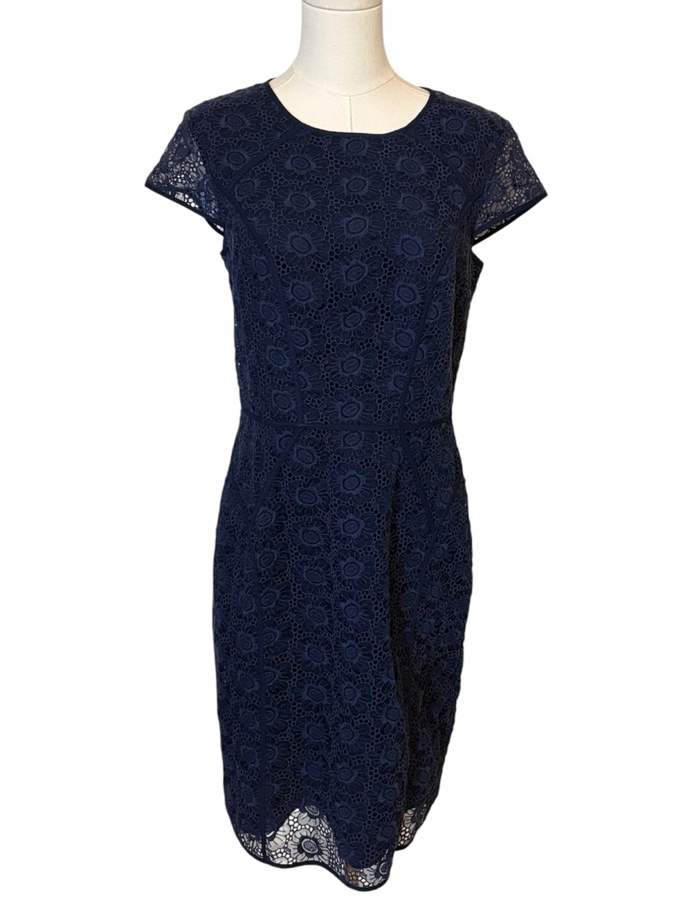 Banana Republic Blue Flower Lace Sheath Dress Size 10